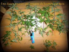 edition spéciale