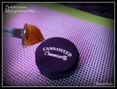 1er bho