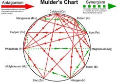 mulders-chart.jpg