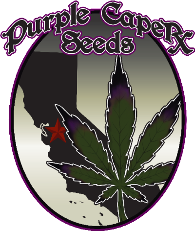version_01-logoLEAF-e1413315759441.png.05188fd05b4d5d5c7a04da3960da06a9.png