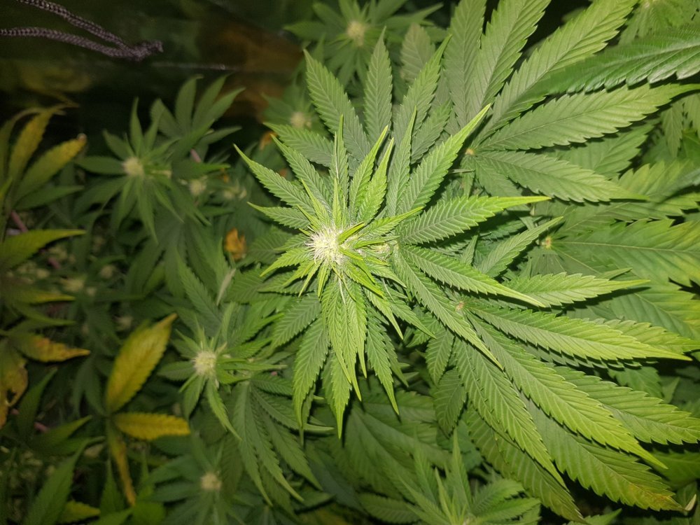 20180513_105131.jpg