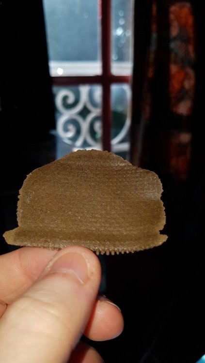 20180518_102409.thumb.jpg.6b89881c94450808da5b25590eb56772.jpg