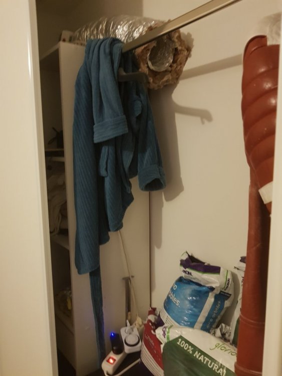 20180521_044131.jpg