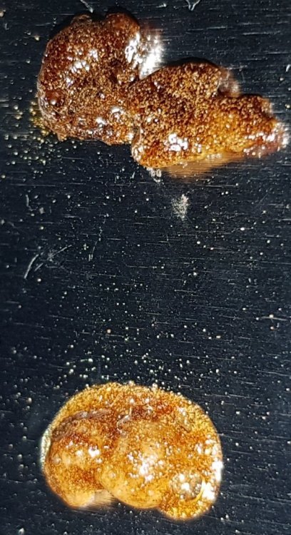 20180523_152442.thumb.jpg.740c028e27470ff14ddfdbe99c2fef79.jpg