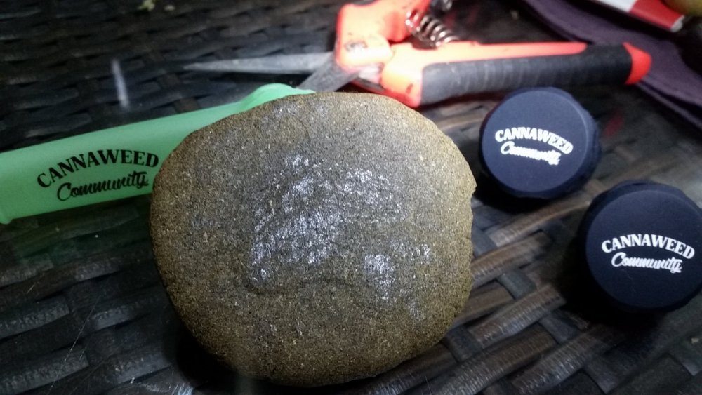 20180527_203441.thumb.jpg.e38edc531dceac089dfe878700cb08e2.jpg