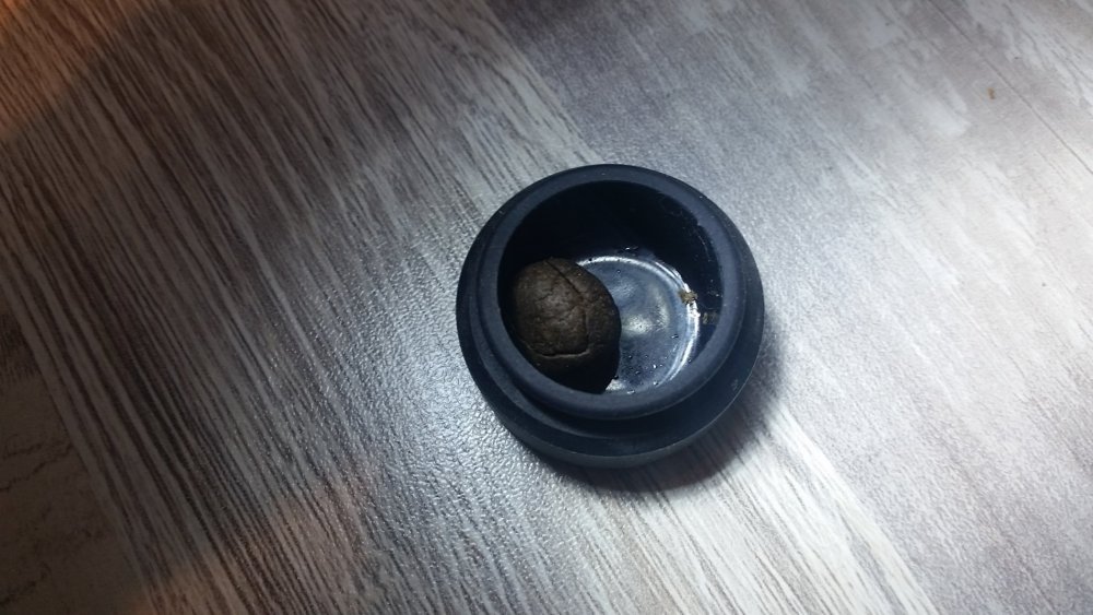 20180528_230908.thumb.jpg.df5d6489384645b40533718a019197bd.jpg