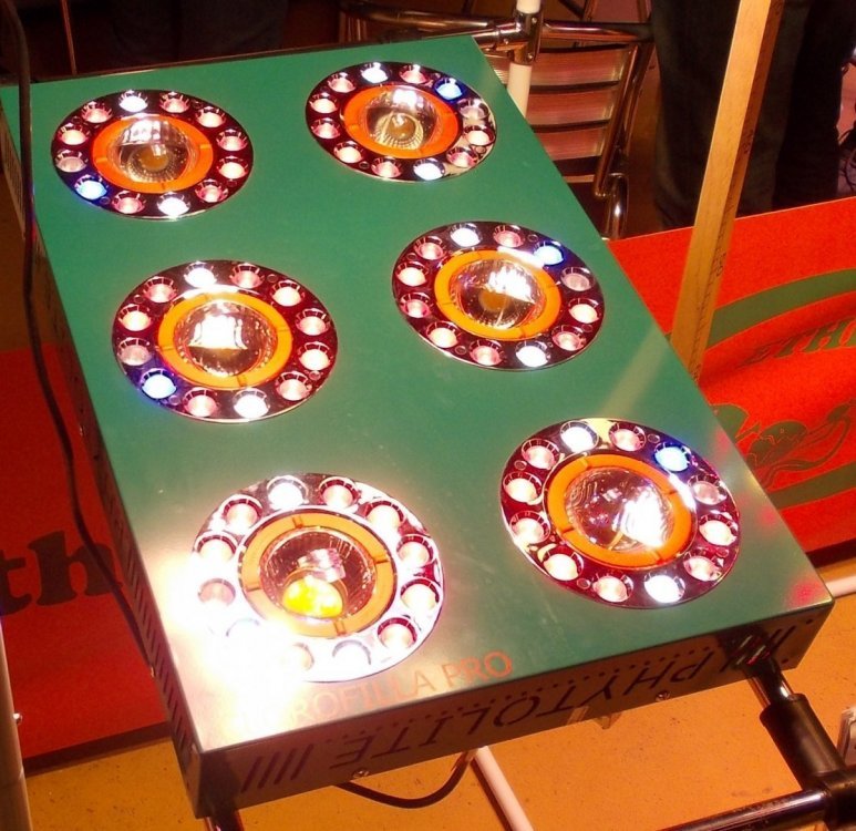 DSCN2738.jpg