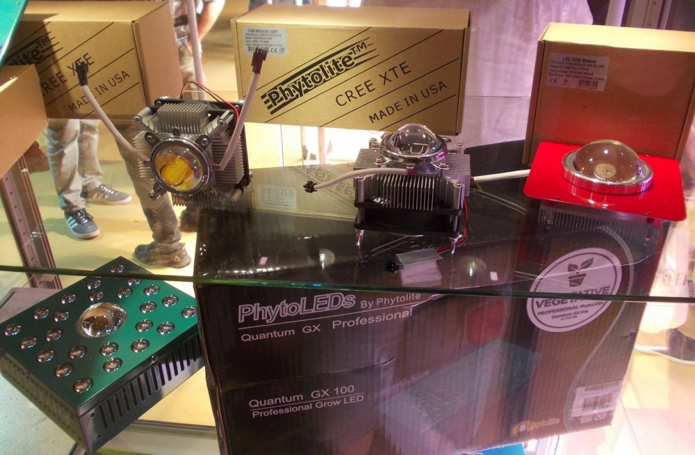 DSCN2739.jpg