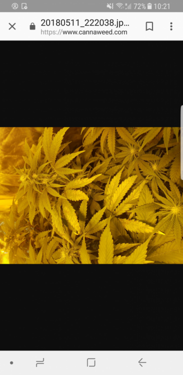 Screenshot_20180512-102135.thumb.png.05fd89d5067ffcb31297acb264687876.png