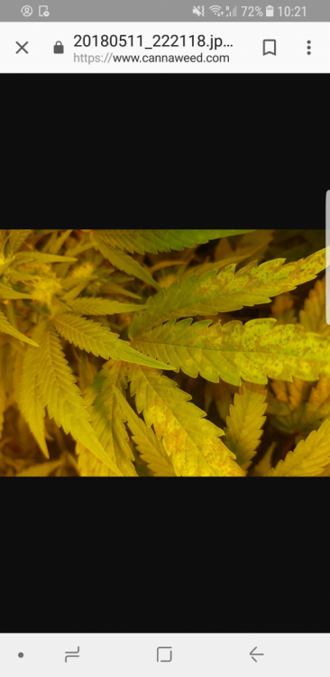 Screenshot_20180512-102154.thumb.png.7943be95023a35948903840c10fb235e.png