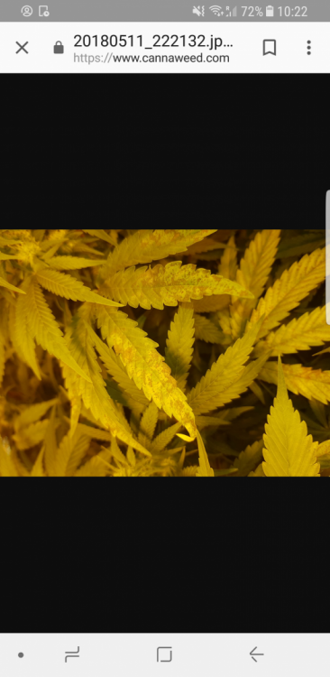 Screenshot_20180512-102204.thumb.png.2b2302dd25f6d2baab09199943b4f14c.png