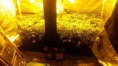 20180423_031514.jpg