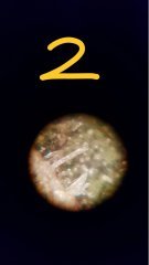 20180503_074800.jpg