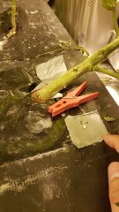 20180505_082236.jpg
