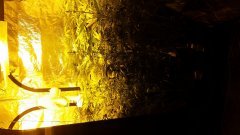 20180505_234404.jpg