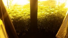 20180505_234648.jpg