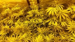20180512_022519.jpg