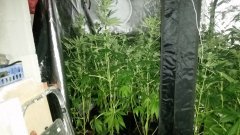 20180516_101522.jpg