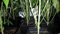20180516_101535.jpg