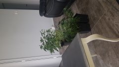20180516_152103_-_Copie.jpg