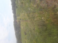 20180519_104420.jpg