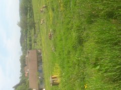 20180519_104422.jpg