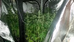 20180520_101407.jpg