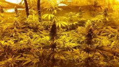 20180521_020401.jpg