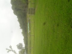 20180524_172140.jpg