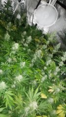 20180525_094448.jpg