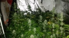 20180525_094533.jpg