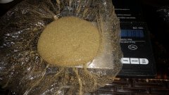 20180527_123246.jpg