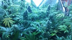 20180530_101839.jpg