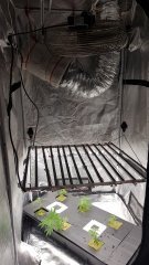 20180530_133842.jpg