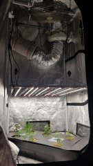 20180530_133949.jpg
