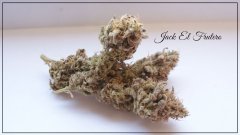 Jack el frutero