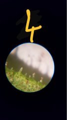 tritri 4.jpg