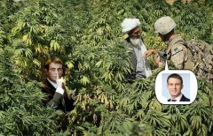 cannabis-farmer-afghanistan.jpg