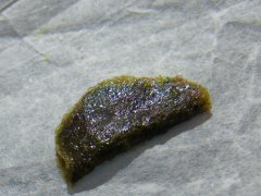 finger hash