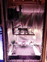 Espace Floraison