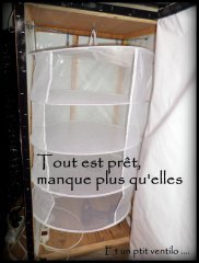 MAJ 16