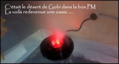 MAJ 16