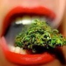 Kiss_my_weed