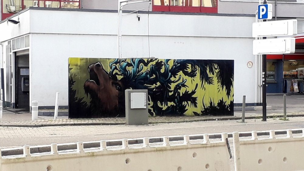20180614_181947.jpg