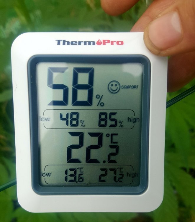20180619_145623.jpg
