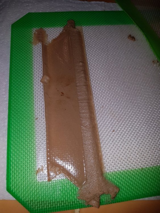 20180624_185907.thumb.jpg.cc38fe2bbd6e83168976504932d2ad67.jpg
