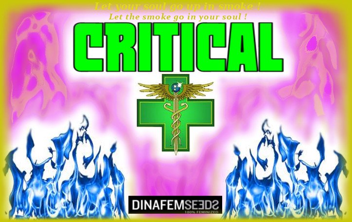5b2cb5041ce19_Critical.jpg