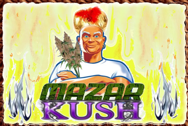 5b2cb5d03b1c6_MazarKush(2).jpg