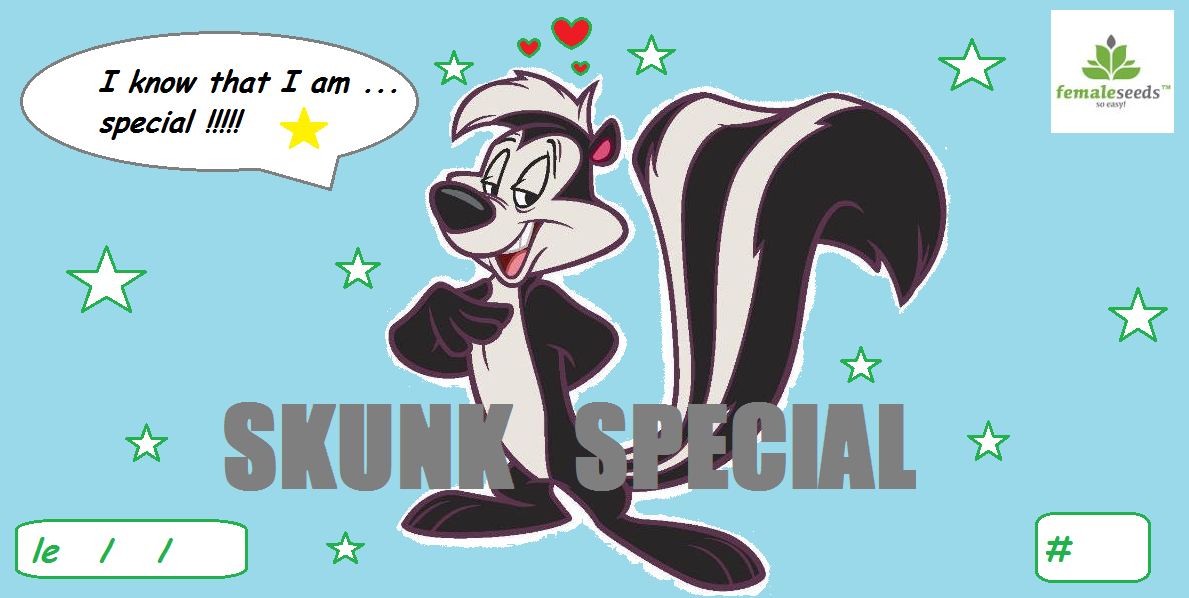 5b2cb6ad564b2_skunkspcial.png