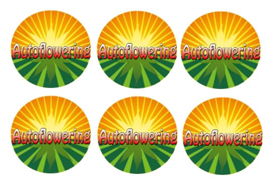 AUTOFLO.jpg